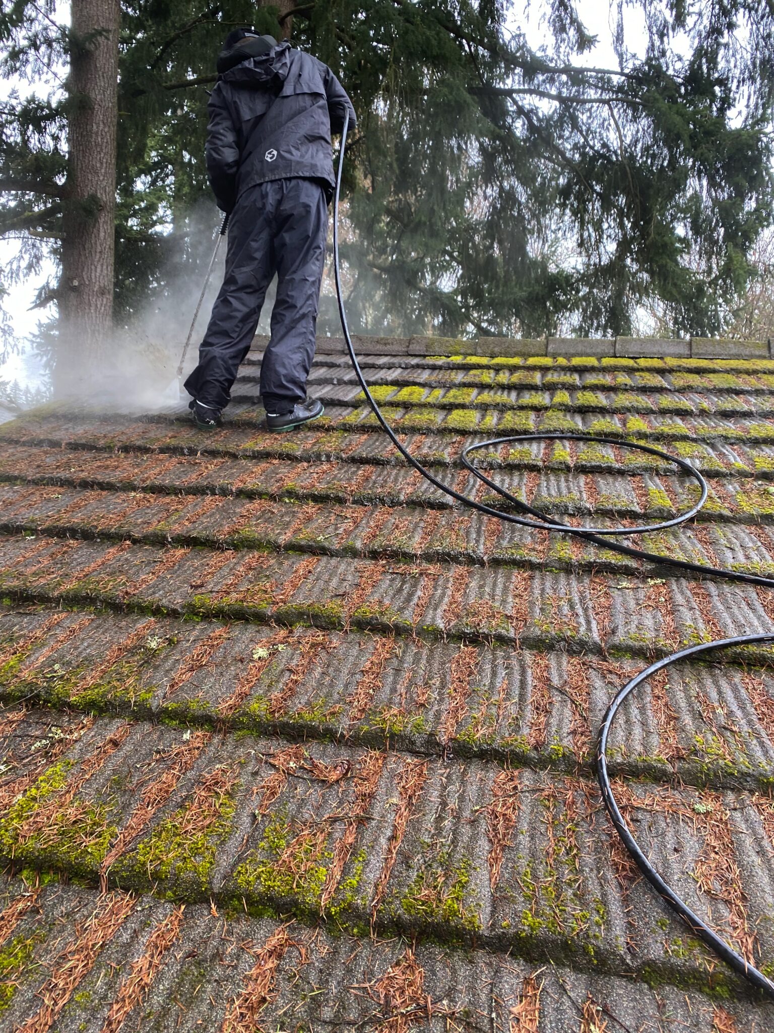 Professional Roof Cleaning