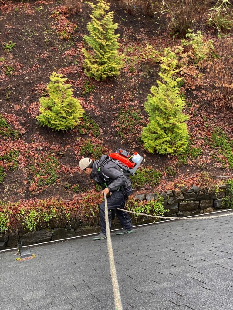 roof washing