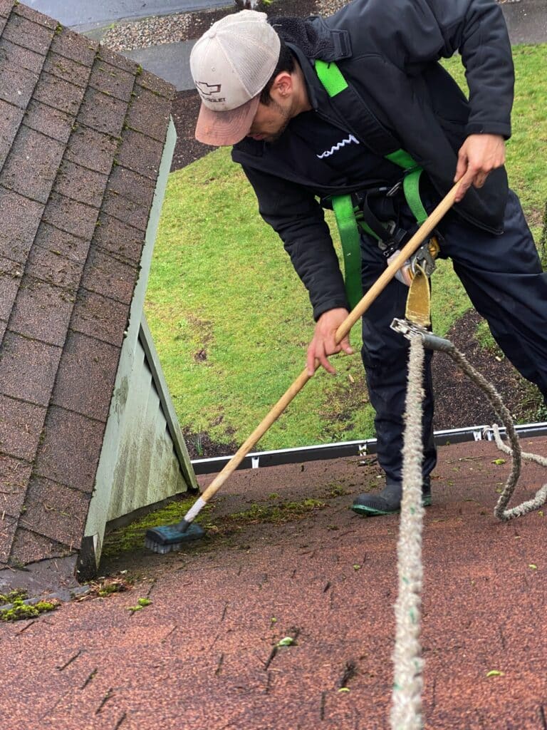 roof cleaning Beaverton OR