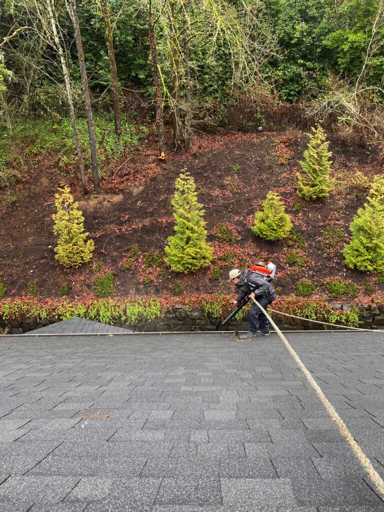 roof cleaning Lake Oswego OR