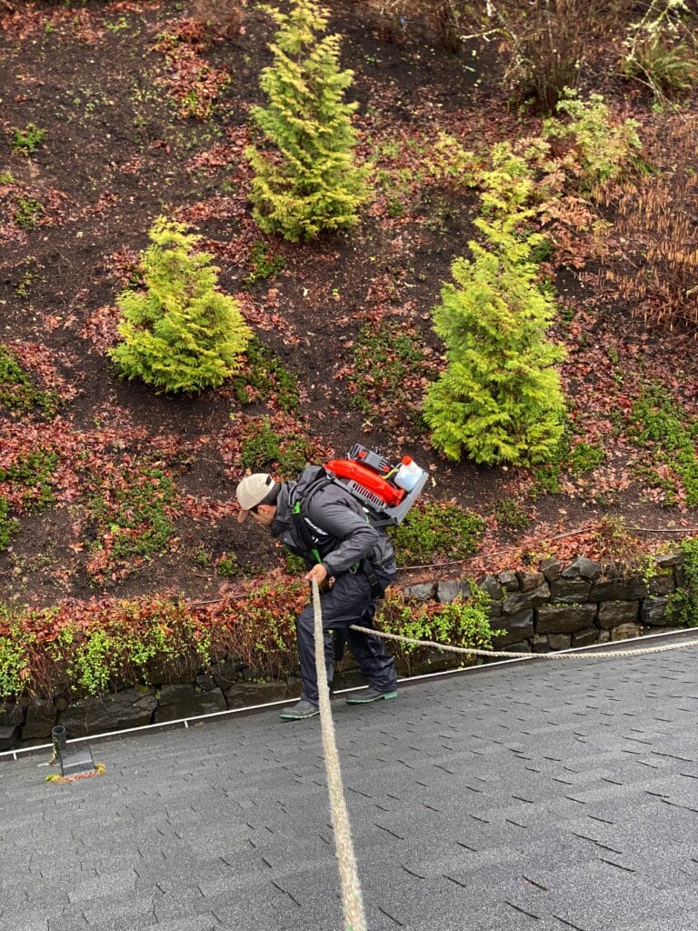 roof cleaning West Linn OR