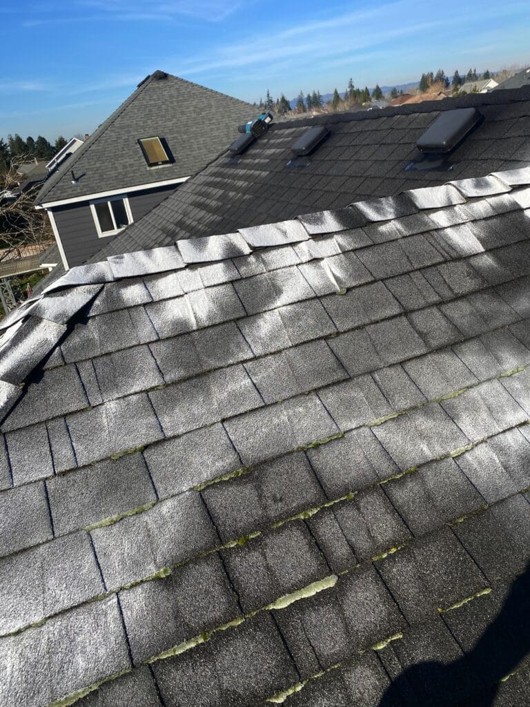 roof washing Hillsboro OR