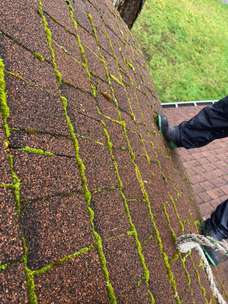 roof washing Lake Oswego OR