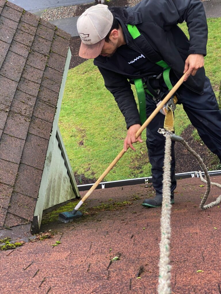 roof washing Newberg OR